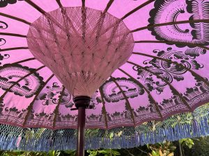 blue fringe parasol